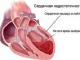 Nutrizione per lo scompenso cardiaco: menu, giorni di digiuno Nutrizione terapeutica per lo scompenso cardiaco