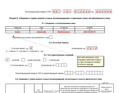 Congedo di lunga durata per SZV-stazh: cos'è (decodifica) Il periodo di congedo deve essere indicato nelle informazioni della Cassa pensione