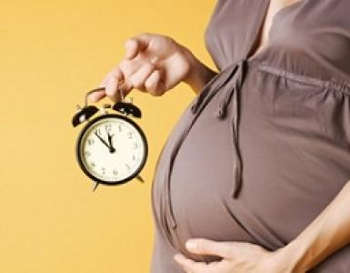 Regole per il calcolo dell'indennità di maternità