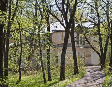 O que está escondido na floresta Shilovsky - um acampamento abandonado